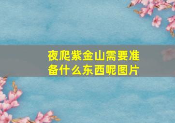 夜爬紫金山需要准备什么东西呢图片