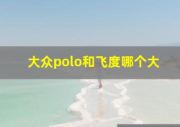 大众polo和飞度哪个大