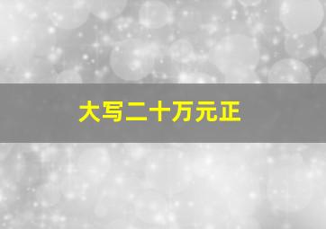 大写二十万元正