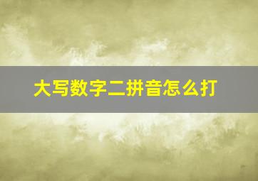 大写数字二拼音怎么打