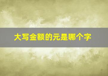 大写金额的元是哪个字