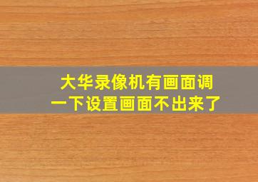 大华录像机有画面调一下设置画面不出来了