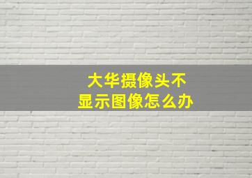 大华摄像头不显示图像怎么办