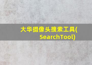 大华摄像头搜索工具(SearchTool)