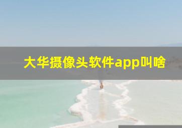 大华摄像头软件app叫啥