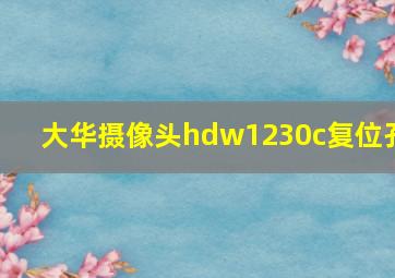 大华摄像头hdw1230c复位孔