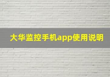 大华监控手机app使用说明