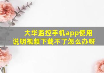 大华监控手机app使用说明视频下载不了怎么办呀