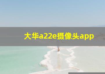 大华a22e摄像头app