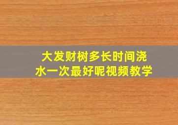 大发财树多长时间浇水一次最好呢视频教学