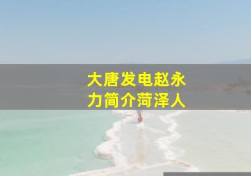 大唐发电赵永力简介菏泽人