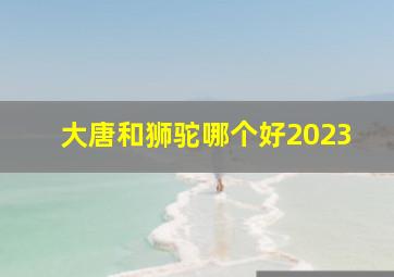 大唐和狮驼哪个好2023