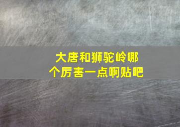 大唐和狮驼岭哪个厉害一点啊贴吧