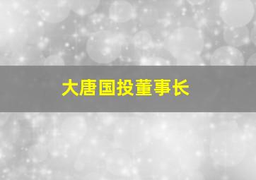 大唐国投董事长