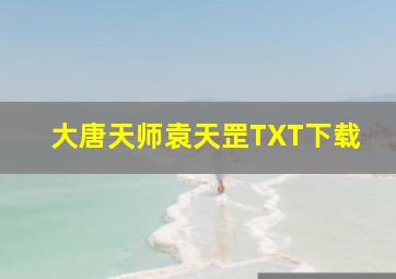 大唐天师袁天罡TXT下载