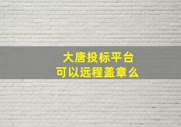 大唐投标平台可以远程盖章么