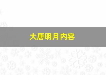 大唐明月内容