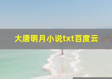 大唐明月小说txt百度云