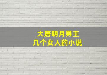 大唐明月男主几个女人的小说