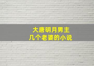 大唐明月男主几个老婆的小说