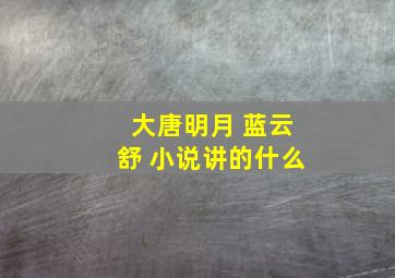 大唐明月 蓝云舒 小说讲的什么