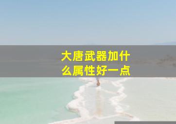 大唐武器加什么属性好一点