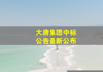 大唐集团中标公告最新公布