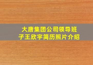 大唐集团公司领导班子王欣宇简历照片介绍