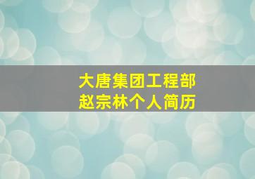 大唐集团工程部赵宗林个人简历