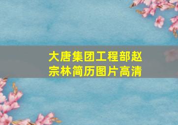 大唐集团工程部赵宗林简历图片高清