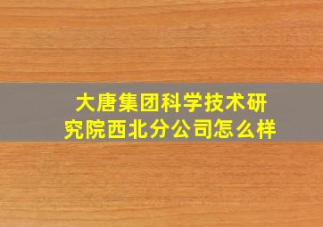 大唐集团科学技术研究院西北分公司怎么样