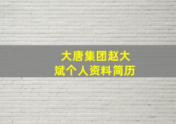 大唐集团赵大斌个人资料简历