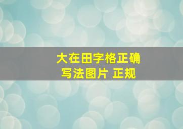 大在田字格正确写法图片 正规