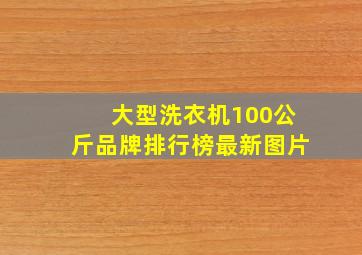 大型洗衣机100公斤品牌排行榜最新图片