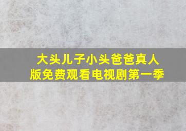 大头儿子小头爸爸真人版免费观看电视剧第一季