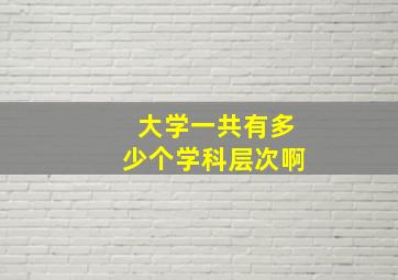 大学一共有多少个学科层次啊