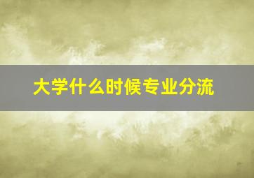 大学什么时候专业分流