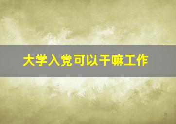 大学入党可以干嘛工作