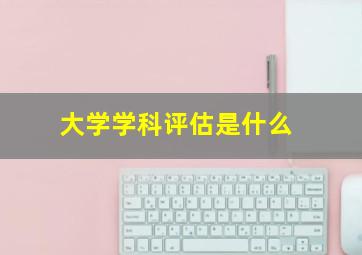 大学学科评估是什么