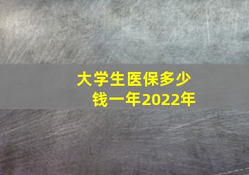 大学生医保多少钱一年2022年