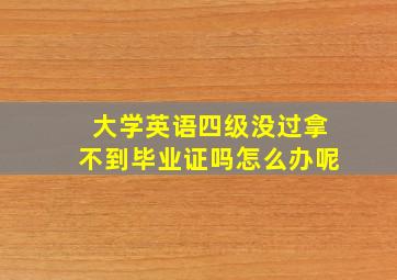 大学英语四级没过拿不到毕业证吗怎么办呢