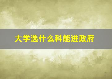 大学选什么科能进政府