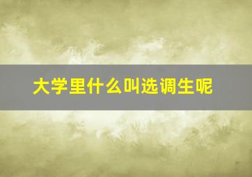 大学里什么叫选调生呢