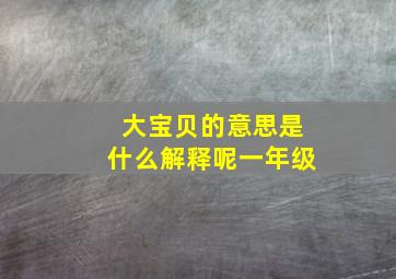 大宝贝的意思是什么解释呢一年级