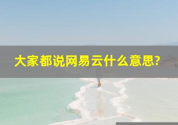 大家都说网易云什么意思?