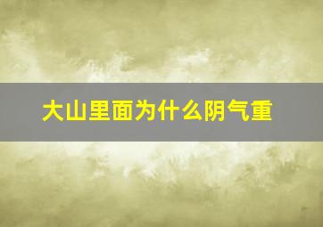 大山里面为什么阴气重