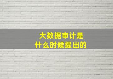 大数据审计是什么时候提出的