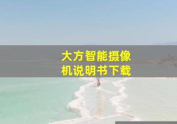 大方智能摄像机说明书下载