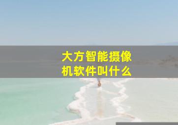 大方智能摄像机软件叫什么