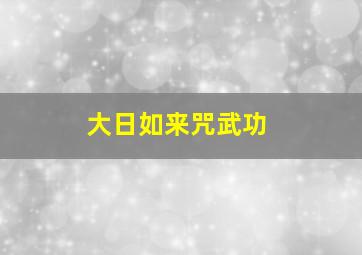 大日如来咒武功